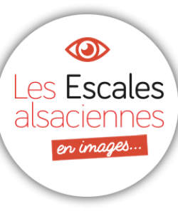 img_actu
